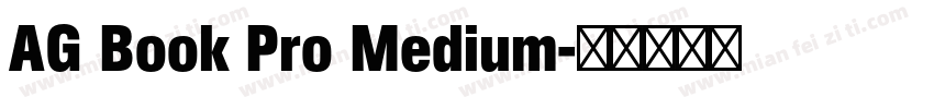 AG Book Pro Medium字体转换
